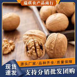 薄皮核桃新货33果 原味新核桃大果500克  新疆特产薄皮坚果生核桃