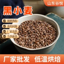 厂家批发低温烘焙熟黑小麦现磨粉五谷代餐粉食药同源黑小麦