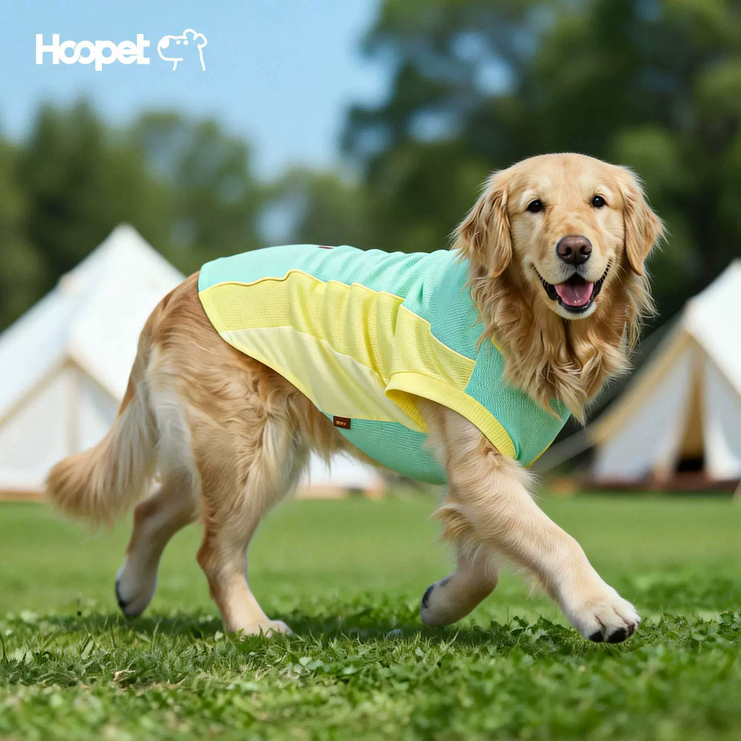 Hoopet狗狗背心马甲宠物服装中大型犬春季金毛边牧萨摩耶狗衣服
