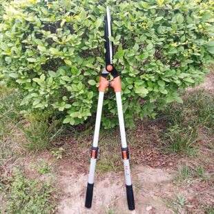 Easy-To-Use Telescopic Hedge Shears, Green Hedge Shears, Flower Branch Gardening and Greening Garden Pruning Scissors, High Branch Shears, Large Scissors, Special Offer