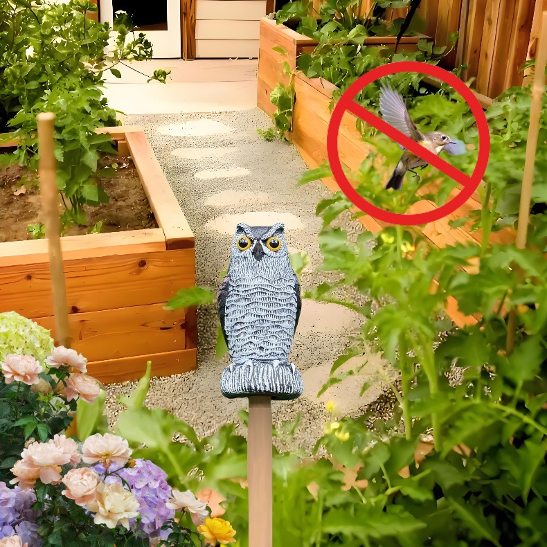 猫头鹰-吓鸟2