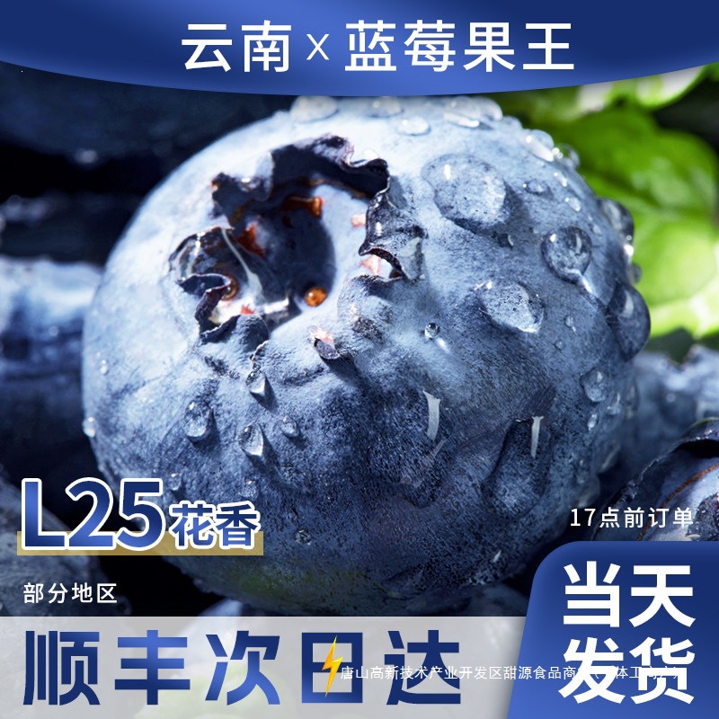 云南蓝莓新鲜水果当季蓝梅鲜果现摘L25花香高山孕妇整箱顺丰包邮