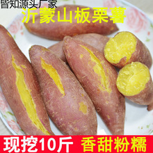 �t�����l�����t�����r�ع�����ɳ���S����С�����߲�2510��