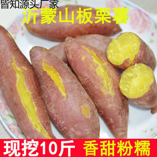�t�����l�����t�����r�ع�����ɳ���S����С�����߲�2510��