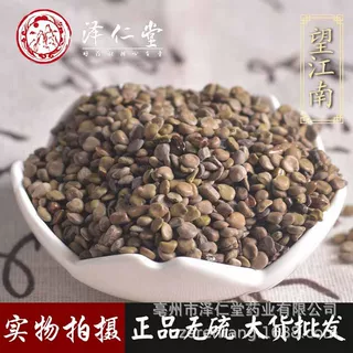 诚信中药材 望江南子 江南豆 金豆子 常年供应大货 支持药检