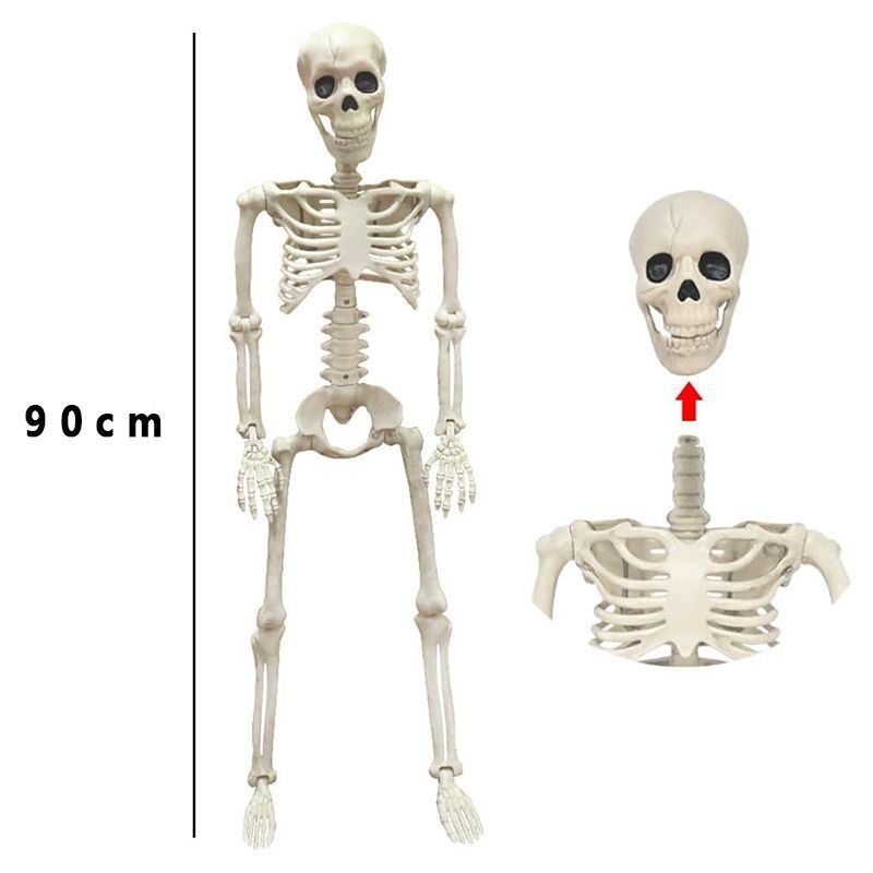 40 90cm esqueleto esqueleto ajustable articulado Halloween horrores decoración de props