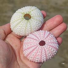 20���ۺ�đ�� ��đ�˱��՚��P�滨���b����lؐ�����ݚ���ˇƷdiy