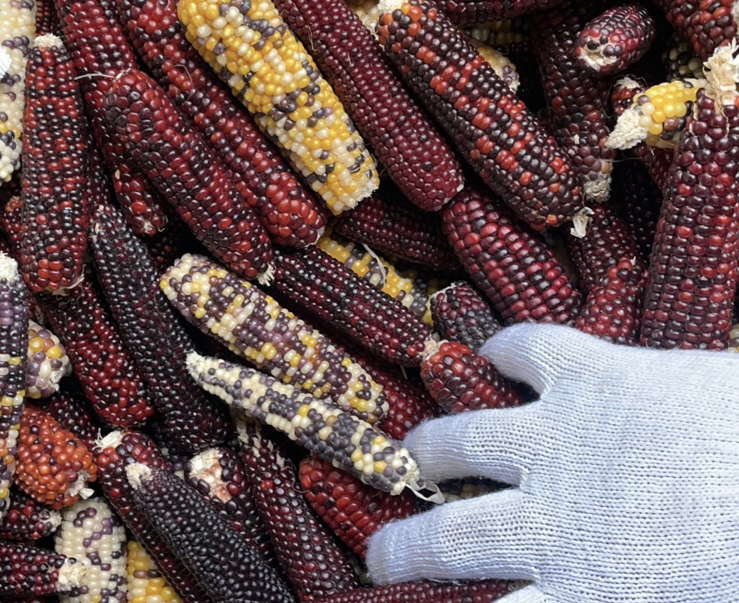 微信图片_20230902131734