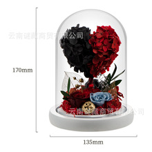 云南花者轻奢七夕情人节高级感礼品多款永生花玻璃罩礼盒成品批发