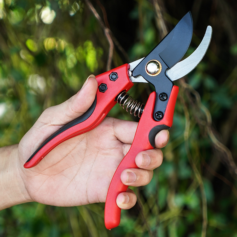 强力园艺剪枝嫁接剪刀修剪树枝水果采摘花艺剪切不锈钢锰钢花艺剪