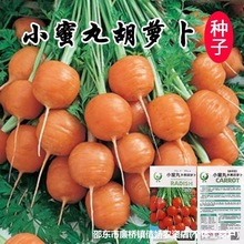 С����ˮ�����}���N�Ӵ�ȫ��������_���N��ԭ�b�N�Ӵ�ȫ���l���l