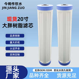 深圳厂家供应台湾省10寸20寸大胖树脂滤芯阻垢软水过过滤器滤清器