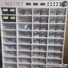PVC玩具蛇柜爬宠柜宠物饲养盒守宫蜘蛛角蛙蜥蜴 A4抽屉柜底部加热