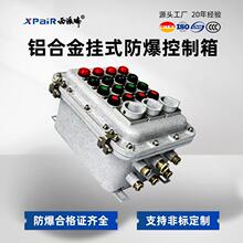 防爆控制箱铸铝合金壁挂式IP65IIB/IIC粉尘气体隔爆防爆石油化工