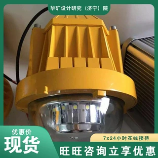 用途广泛防爆Led平台灯 加油站抗震防爆灯现货 120W防爆Led平台灯