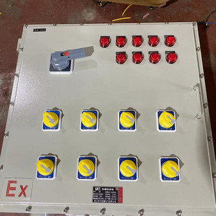BZC8050-A2D2K1R1G�ڒ�ʽ�ۉm�����������������λ���������o��