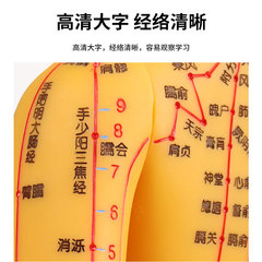 人體穴位經絡模型人圖小銅中醫針灸可扎針刻字全身迷你男模女模3d