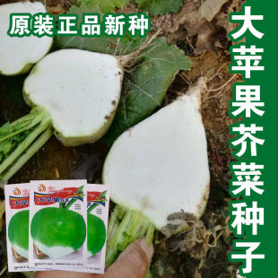 ���O����˷N�ӹ��^���Ѵ��^��������ƷN�ݮa�����r��ͥԺ����