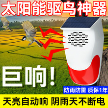 ��B����ȫ�Ԅ�����ڑ���̫��ܳ��������̨���׵��s�B���B��