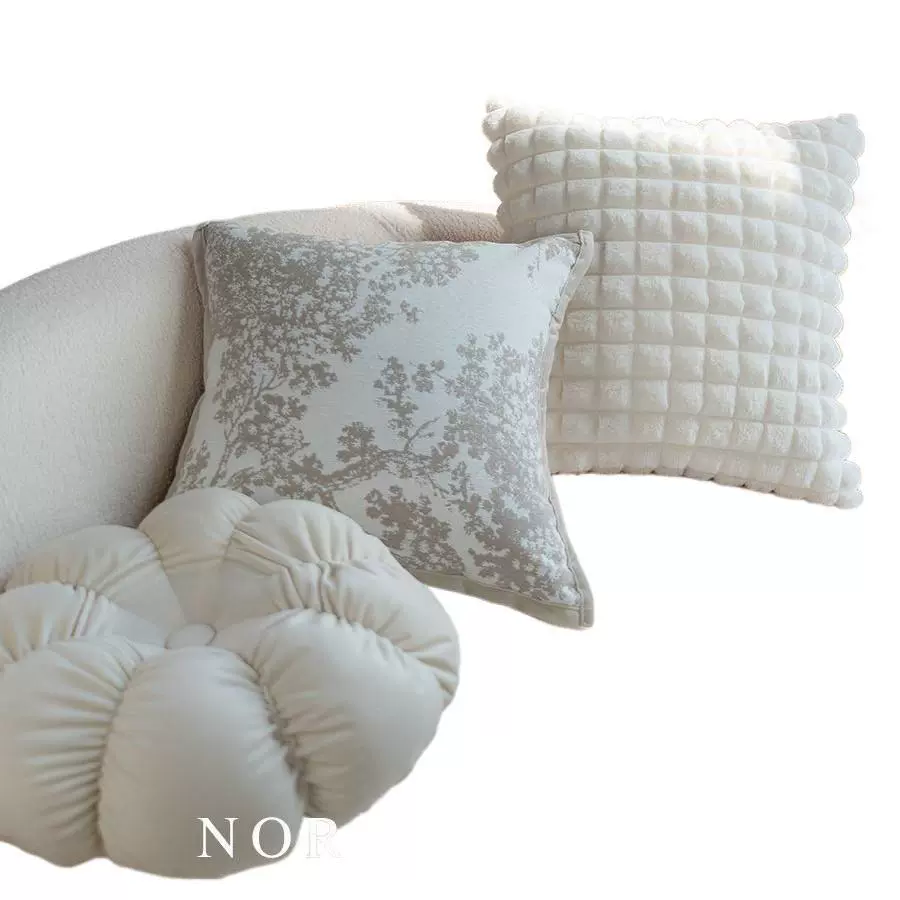 Sofa, back pillow, detachable pillowcase, french style