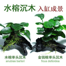 �~����ˮ�݃�ˮ����ˮ�ų�ľˮ�����쾰�b��˳��ײ��õ�ɰ�S��