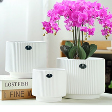 �����մɺ����m������m���W���s�ش�̖���бP�Gֲ����