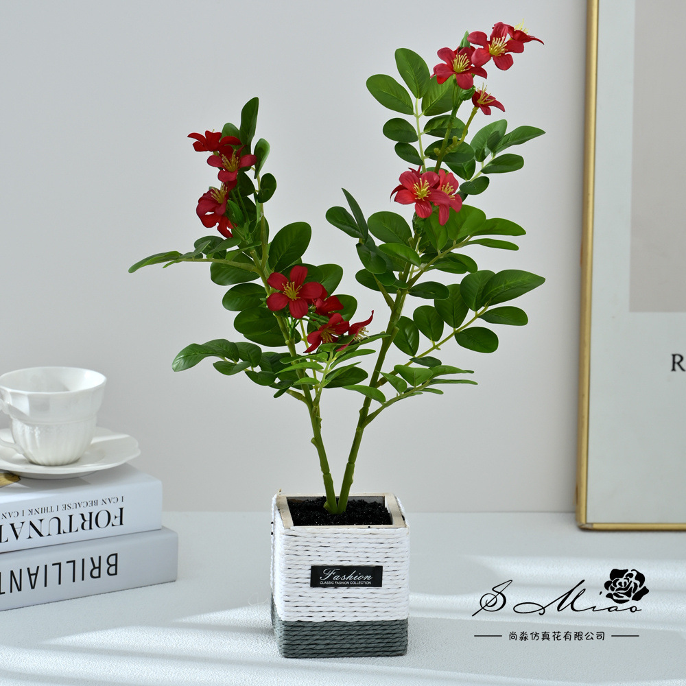2498530 Bonsai de flores de dos árboles de té (pot de madera)