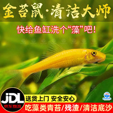 ��̦�������׹����~����̦���߽�̨����̦���坍�ח����w�����