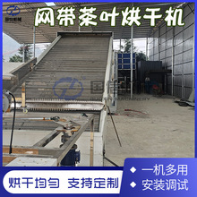 网带茶叶烘干机 全自动红查绿茶叶清洗杀青烘干生产线 茶叶干燥机