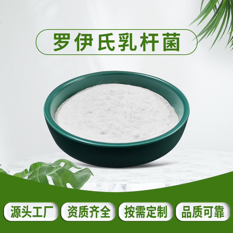 罗伊氏乳杆菌100亿cfu/g 益生菌冻干粉 活性乳酸菌 食品级罗伊氏