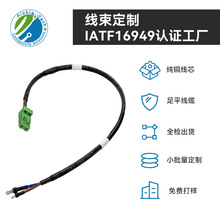 eVTOL늄ӴֱAC INPUT늿ƾPHCENIX˹2оo׾