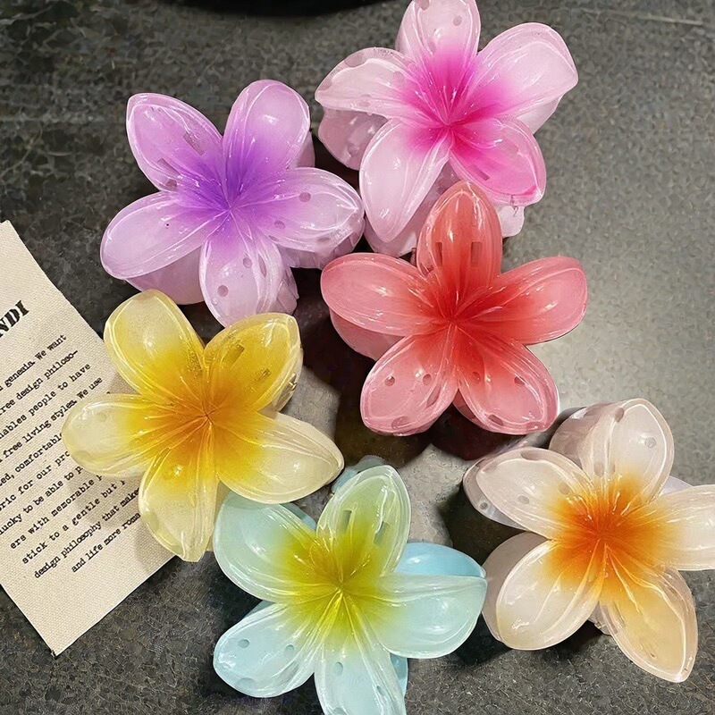 Cross-Border New Colorful Dopamine Plumeria Hair Clip Elegant Back of the Head Flower Shark Hairpin Hair Clip Cross-Border New Colorful Dopamine Plumeria Hair Clip Elegant Back of the Head Flower Shark Hairpin Hair Clip