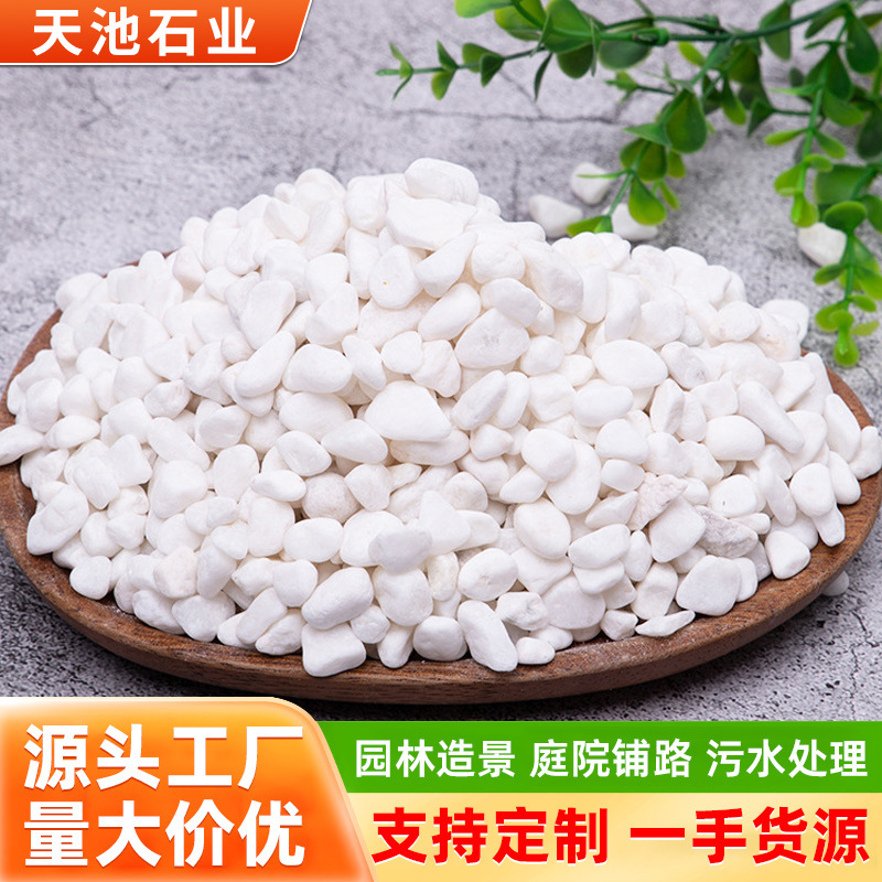 White Pebbles for Garden Courtyard Decoration, Stone Paving, Massage Pebbles, Garden Decoration, Rain Flower Stones