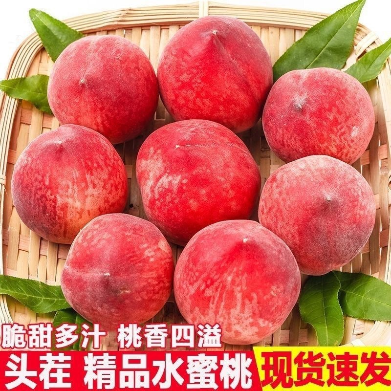 春雪水蜜桃鲜桃子脆桃新鲜毛桃当季水果孕妇新鲜水果礼盒