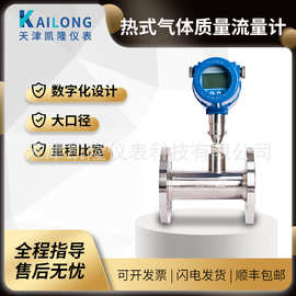 【现货】管道式插入式热式气体质量流量计高温智能工业计量表
