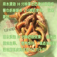 沙蚕干海蛐蟮宠物鱼海鱼饵速干沙虫海钓海蚯蚓海蜈蚣便携易储梭鱼