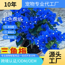 ���S����÷�ذ�����ͺ������՚��̨�Gֲ��ɫ�_���Ϙ����Sֱ�N�o