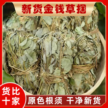 �V���������X��1����ș�Ľ��X����؛�o��ɽ��X���ݲ���ˮ