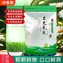 天王新茶绿茶茶叶散装毛尖茶毛尖古丈袋装炒青2024湘西明前
