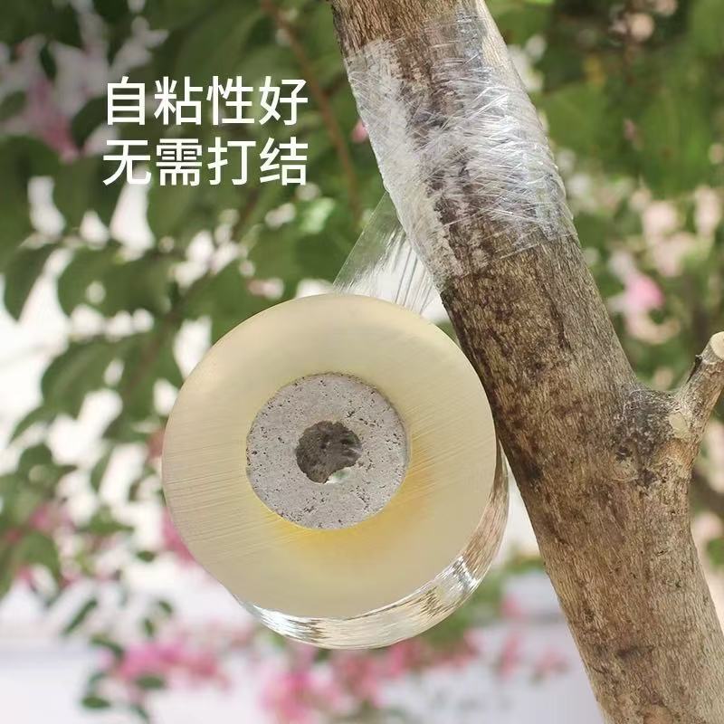 包邮/嫁接膜A1P30-自粘式缠绕膜嫁接果树嫁接专用膜塑拉