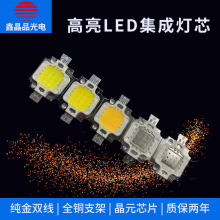 批发10W大功率高亮集成灯珠LED光源 LED投光灯光源 大功率灯珠