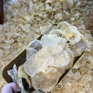 ��Ȫ �F؛���l��׻��z �����z ���z ���z�~���~�z��ζ��؛һ��