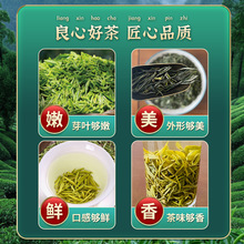 含芽带叶绿茶雨前娄头春茶信阳毛尖鲜爽回甘手工茶叶毛尖茶礼盒装