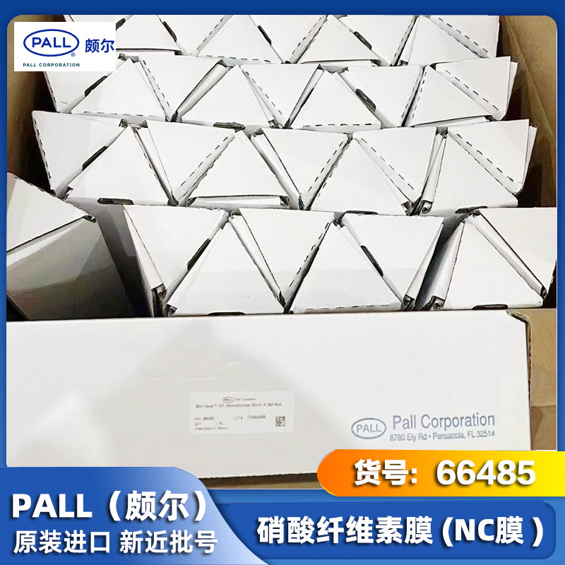 PALL颇尔 GE 硝酸纤维素膜NC膜 66485 0.2um,30cm*3m BioTrace