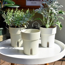 ���˾G�}ֲ���Ԅ���ˮ����͸��ˮ���������ϲ���ˮ�B��ƿ�G�j