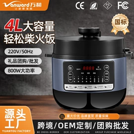 电压力锅;养生壶;厨房电器配件