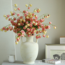 滨֦\ٻҕˇ廨[O͏dҾb[