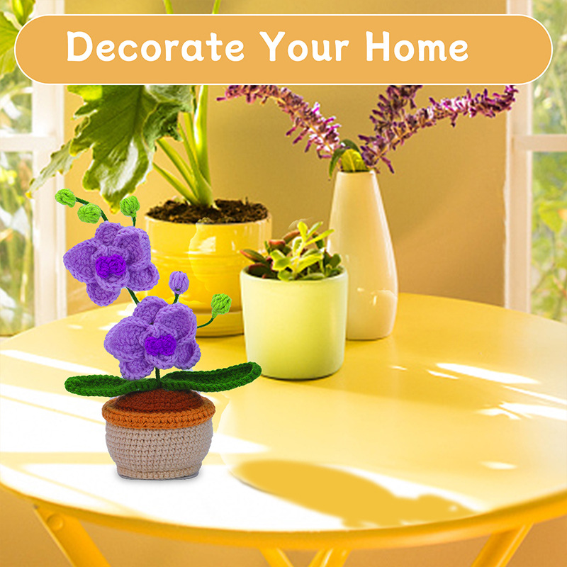 跨境盆栽钩针材料包迷你蝴蝶兰客厅摆件装饰毛线钩织假花支持代发