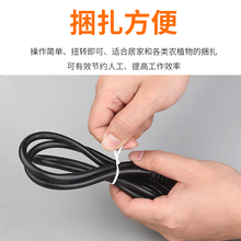 电镀锌包塑细铁丝光缆通信绑扎带园艺扎条绑藤枝架的塑料绑丝王金