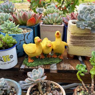 Cross-border creative pastoral three Ducks outdoor statue garden succulent pot decoration garden resin decoration